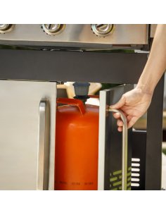 Barbacoa de Gas...